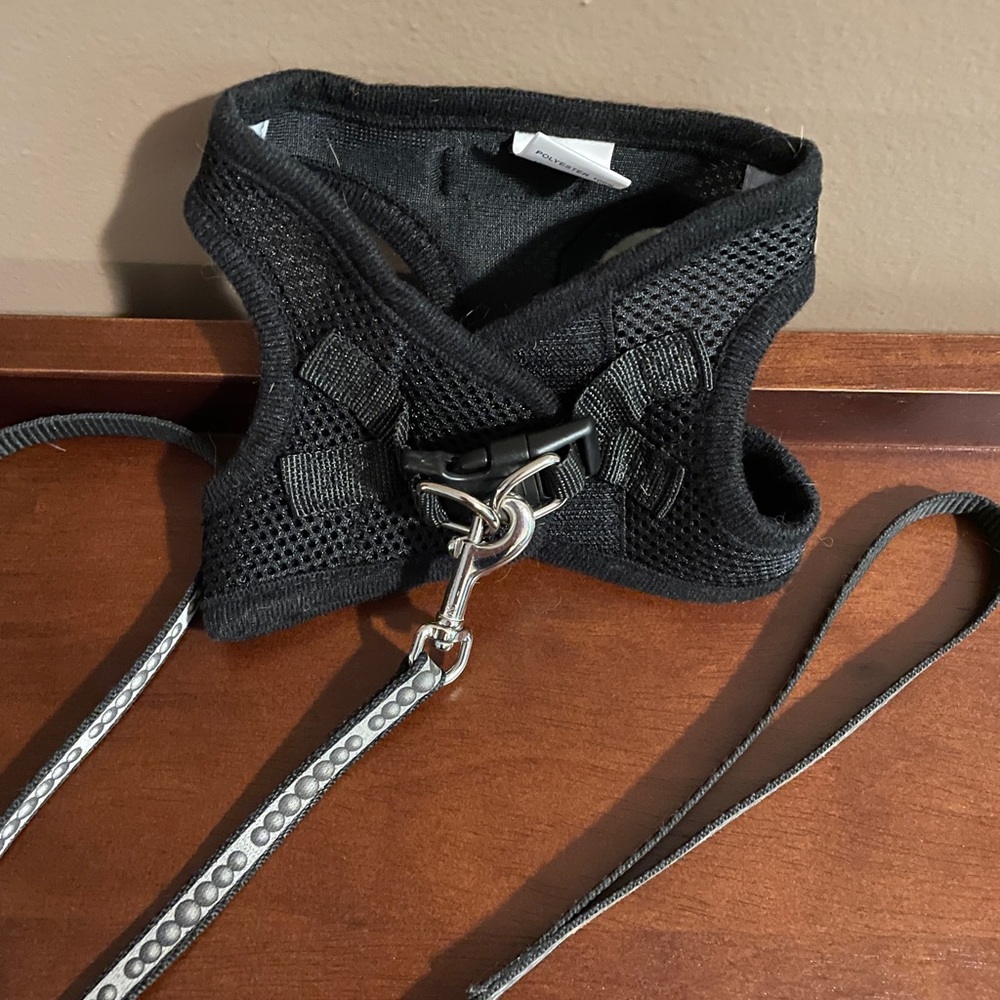SMALL PET HARNESS WITH LEASH